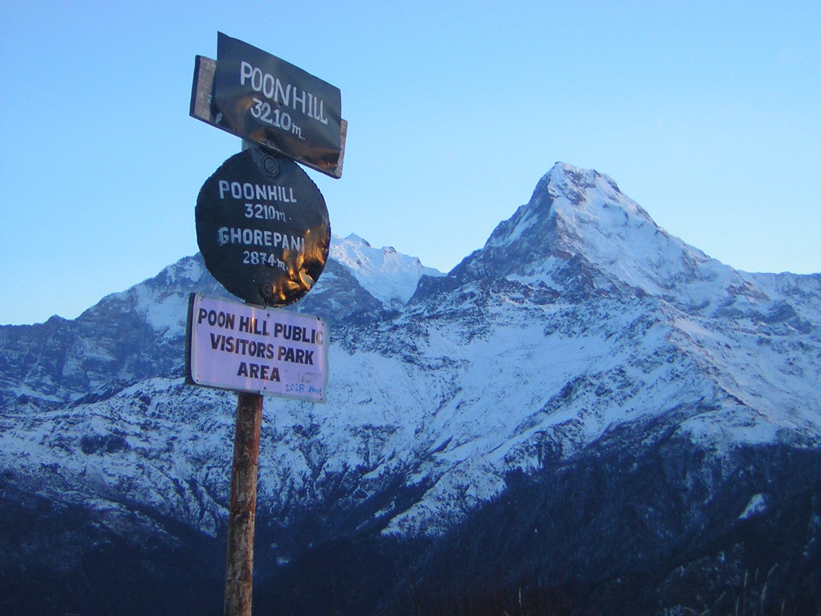 Neeraj sharma's testimonial